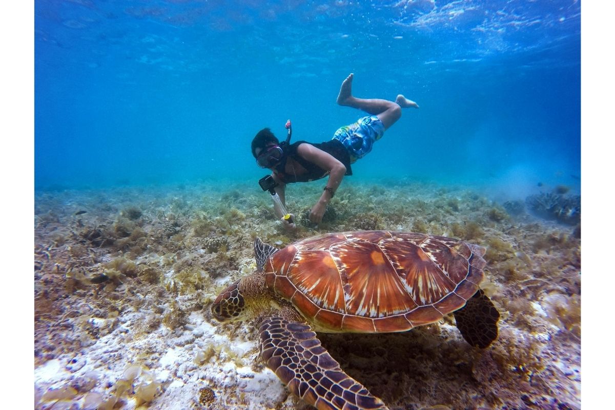 snorkelen in zee